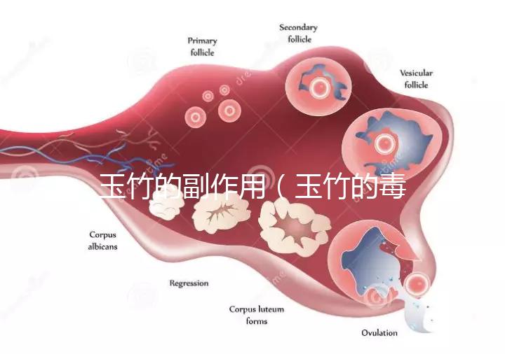 玉竹的副作用(玉竹的毒性有多強(qiáng)?)