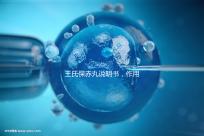 王氏保赤丸說明書，作用功效、用法用量全都有！