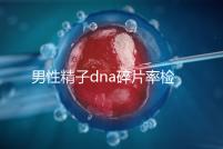 男性精子dna碎片率檢查注意事項清單,禁欲幾天就知道了