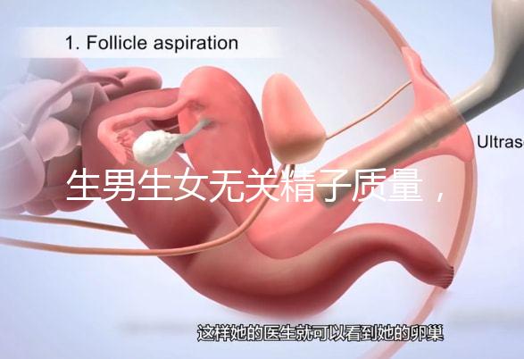 生男生女無關(guān)精子質(zhì)量，分享成功懷男孩的4個細(xì)節(jié)經(jīng)驗