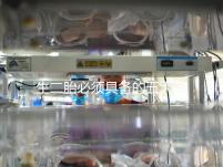 生二胎必須具備的五大條件，全部滿足就可無障礙產(chǎn)子