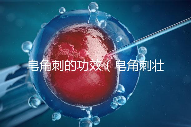 皂角刺的功效(皂角刺壯陽多強(qiáng))