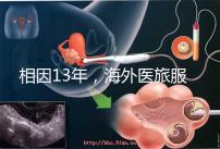 相因13年，海外醫旅服務標準制定者