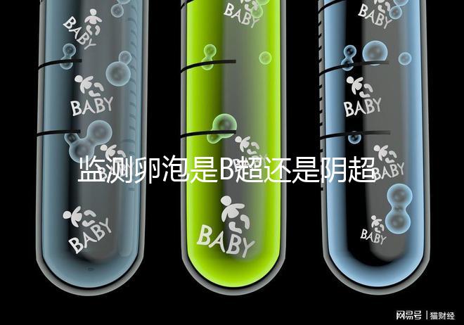 監測卵泡是B超還是陰超？陰道超聲和腹部超聲的區別不止探頭