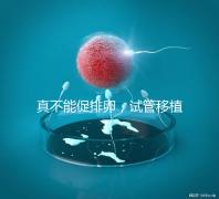 真不能促排卵，試管移植前吃優思明作用與功效竟是這