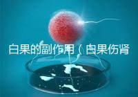 白果的副作用（白果傷腎還是補腎）