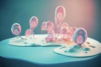 福建附一醫院做試管嬰兒怎么樣，2024助孕成功率數據公布