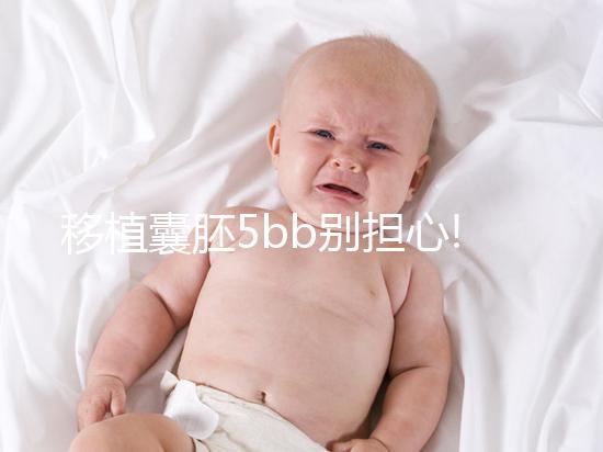 移植囊胚5bb別擔(dān)心!希望并非來自成功率,質(zhì)量奠定基礎(chǔ)