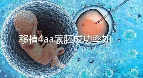 移植4aa囊胚成功率如何？細(xì)說質(zhì)量等級讓你助孕更安心