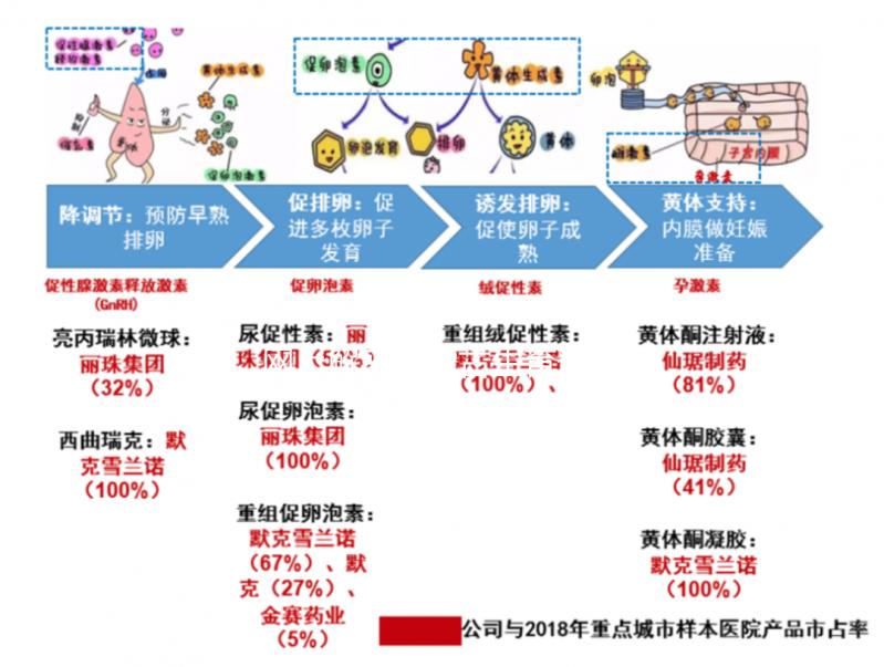 網上解密內蒙古生育登記要不要辦理，想造包頭怎么辦？