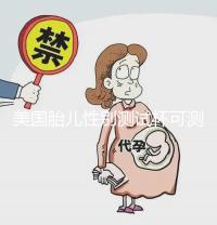 美國(guó)胎兒性別測(cè)試杯可測(cè)男女?是真是假看完便知