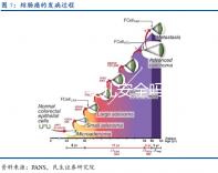 美國試管嬰兒安全嗎?客觀講解現(xiàn)下技術(shù)真不忽悠