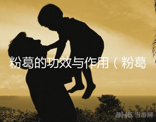 粉葛的功效與作用(粉葛與葛根有什么區(qū)別)