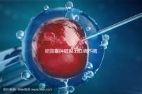 卵泡囊腫破裂出血痛不痛?經(jīng)歷過的姐妹們給出回應