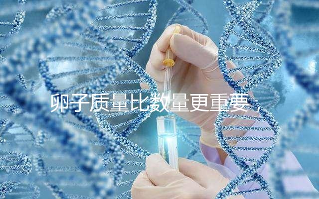 卵子質(zhì)量比數(shù)量更重要，9個(gè)卵泡生男孩也很難