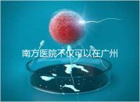 南方醫院不僅可以在廣州做b超,2024年黃浦區收費最高...