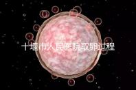 十堰市人民醫(yī)院取卵過(guò)程詳解，三種情況可全身麻醉