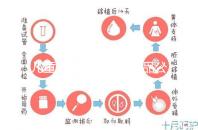 兒童牙膏十大國產(chǎn)產(chǎn)品公布,2024年哪些品牌看這個(gè)