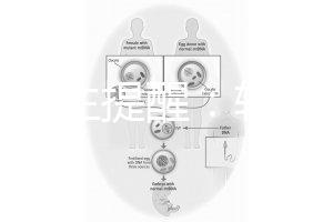 兒科醫(yī)生提醒：輪狀疫苗有不良反應(yīng)，輕微表現(xiàn)持續(xù)時(shí)間短