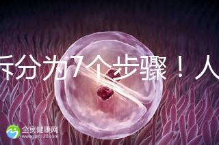 共拆分為7個步驟！人工授精自然周期流程全解