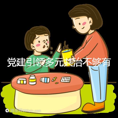 黨建引領(lǐng)多元共治不夠有力(黨建引領(lǐng) 多元共治)