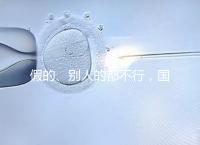 假的、別人的都不行，國內做試管無結婚證真不能過關！