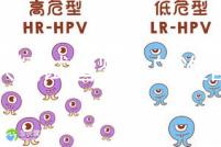 做供精試管嬰兒的準備(供精試管嬰兒大概需要多少錢)