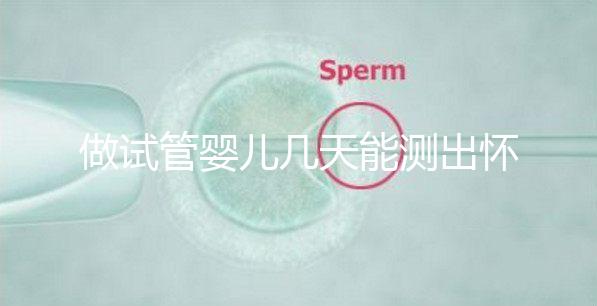 做試管嬰兒幾天能測出懷孕,3招教你提高試管成功率