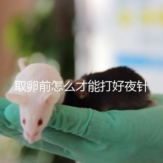 取卵前怎么才能打好夜針?準時按量注射是基礎條件