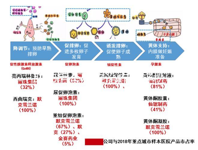 取卵后全身癢治療很輕松！4個小妙招助你快速止癢