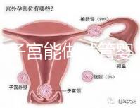 雙角子宮能做試管嬰兒嗎？可以，但這2大條件缺一不可