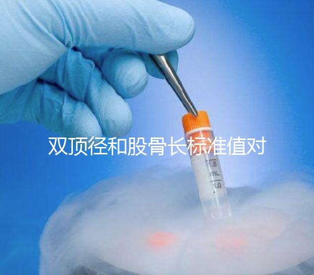 雙頂徑和股骨長標(biāo)準(zhǔn)值對照表,各懷孕周數(shù)差異明顯