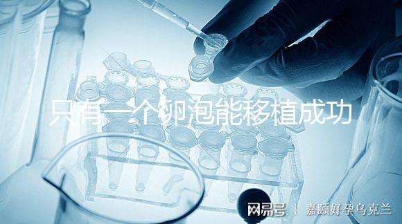 只有一個(gè)卵泡能移植成功嗎？別擔(dān)心!過(guò)來(lái)人告訴你好孕并不難