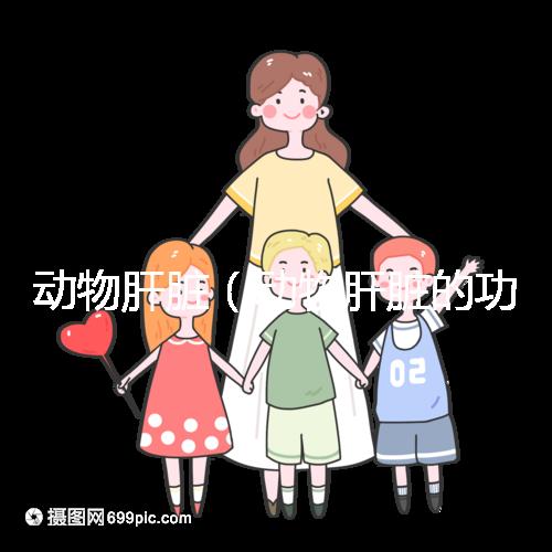 動物肝臟(動物肝臟的功效與作用)