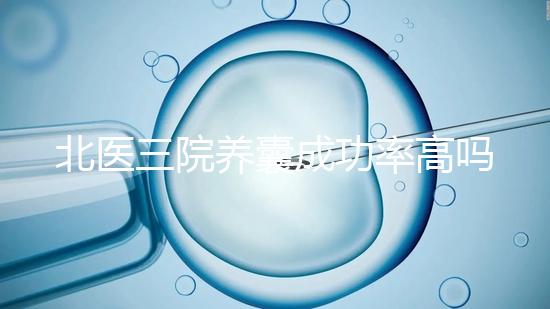 北醫三院養囊成功率高嗎？胚胎質量才是關鍵因素