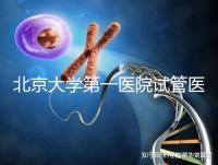 北京大學第一醫院試管醫生排名？附簡介和擅長醫療方向
