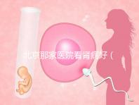 北京那家醫院看腎病好（北京腎病十大醫院排名）