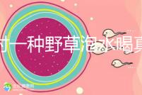 農村一種野草泡水喝真能治便秘！配合這九種中草藥效果更好