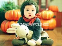 出血熱疫苗接種方法和部位有講究，5個步驟幫你全搞定