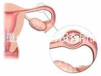 劃重點(diǎn)!目前并沒(méi)有所謂的“弓形蟲(chóng)疫苗”,別再害自己貓咪了