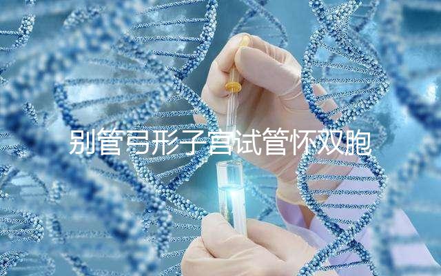 別管弓形子宮試管懷雙胞胎的概率大不大，了解一下這些影響