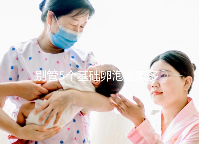 別管5個(gè)基礎(chǔ)卵泡能取多少了，先看看最多可以促幾個(gè)再說