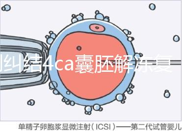 別糾結(jié)4ca囊胚解凍復蘇最早幾天能測出了,著床率先了解下