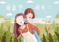 哪一家醫院做試管好(菁華醫院和盛京哪個做試管好)