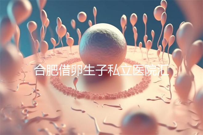 合肥借卵生子私立醫(yī)院匯總，2024哪家排名好一覽了然