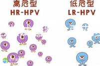 合肥做試管嬰兒要花多少錢？進周期前這些注意事項都來看看