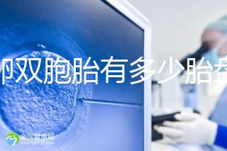 同卵雙胞胎有多少胎盤？1個or2個當場講給你聽