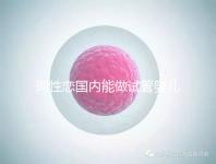 同性戀國內能做試管嬰兒嗎?大多將希望寄托于海外試管