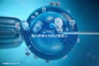 國內單身女性做試管嬰兒費用大概要多少？全部流程及費用一覽