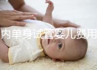 國內(nèi)單身試管嬰兒費(fèi)用大概要多少錢一次?附費(fèi)用明細(xì)!